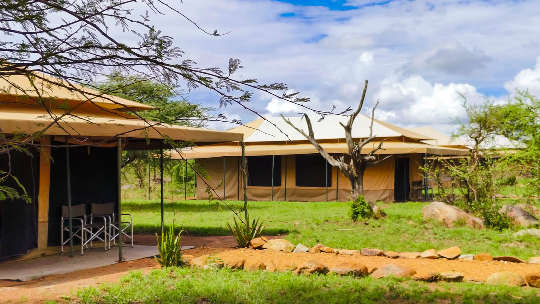 Campsites in the Wild